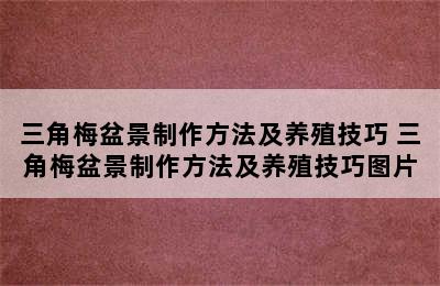 三角梅盆景制作方法及养殖技巧 三角梅盆景制作方法及养殖技巧图片